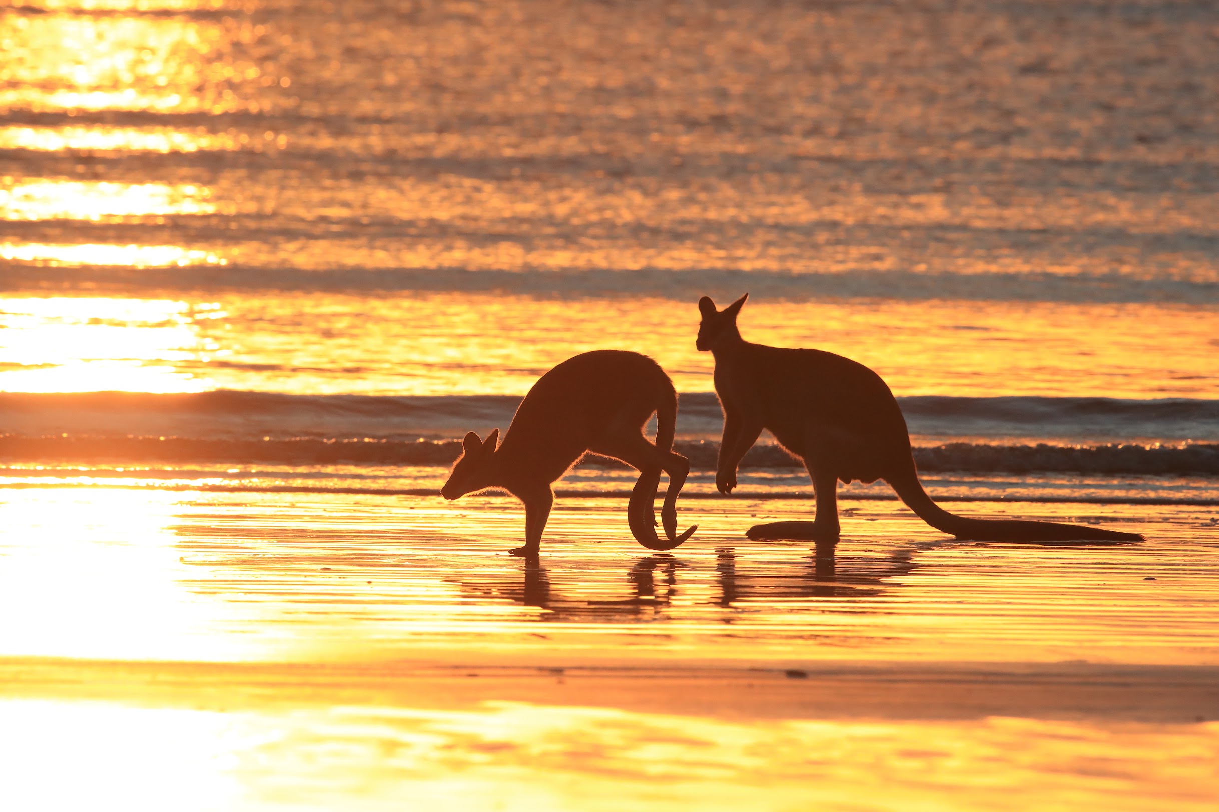 5 Reasons to Study in Australia