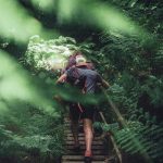 Study in Australia and go bushwalking in the Blue Mountains